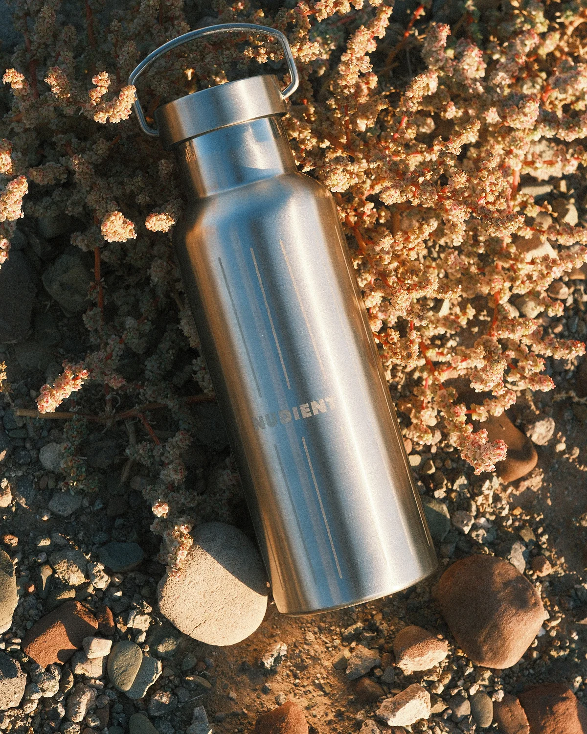NUDIENT Water Bottle Brushed Stainless Steel - Image 2